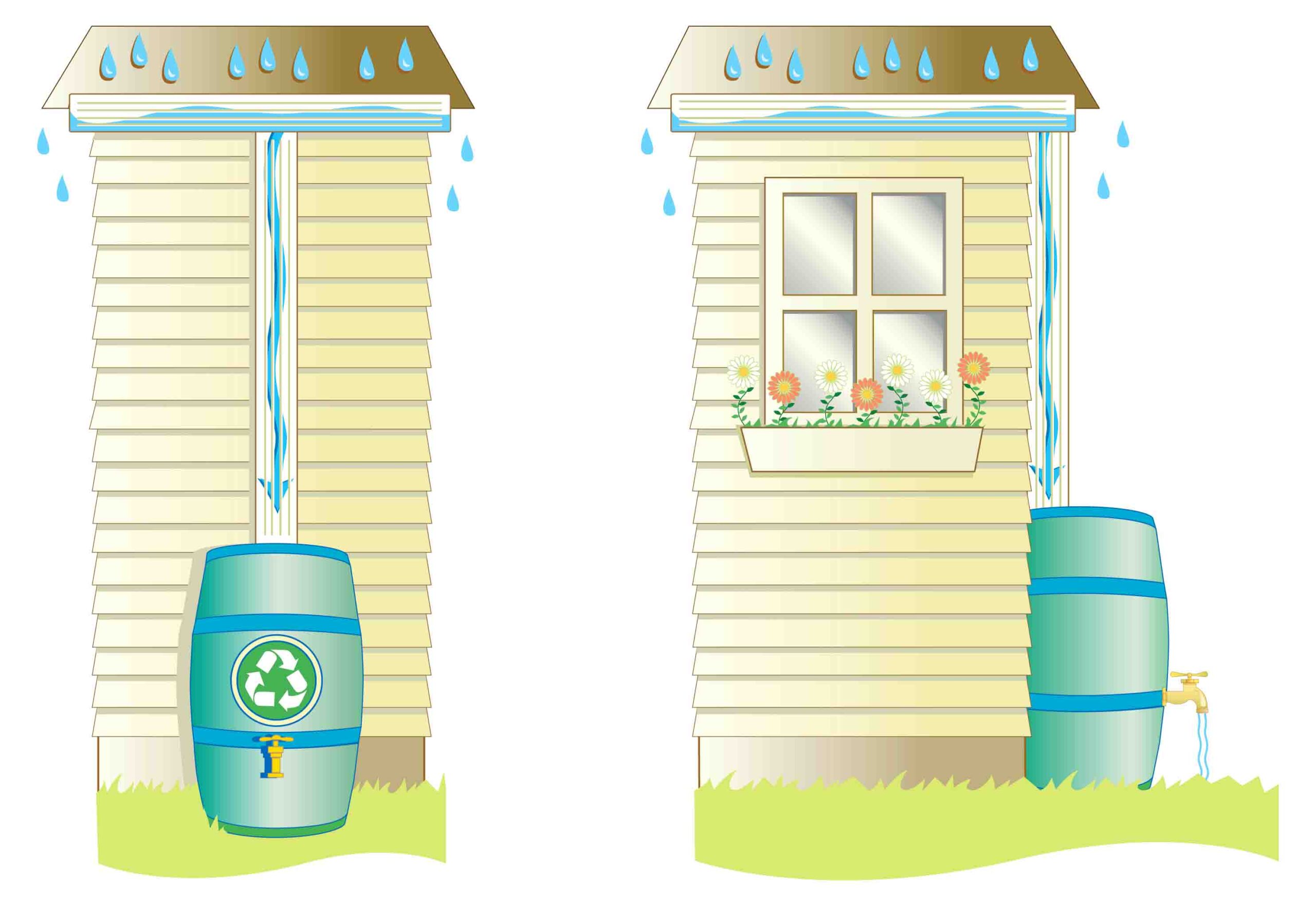 Rain Barrel